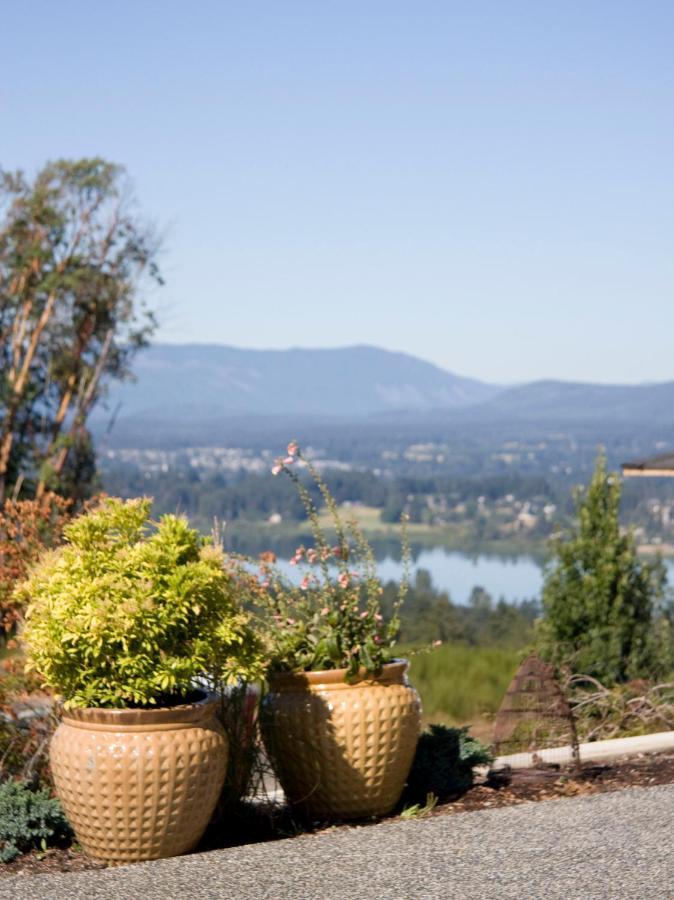 M&M'S Maple Bay Mountain Guesthouse - Licensed دانكن المظهر الخارجي الصورة